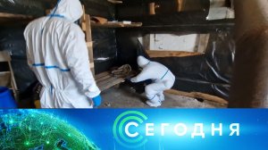 «Сегодня»: 1 июля 2025 года. 10:00 | Выпуск новостей | Новости НТВ