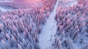 ЕВГЕНИЙ ЕВТУШЕНКО "ЛЮДИ-РОДИНА МОЯ"