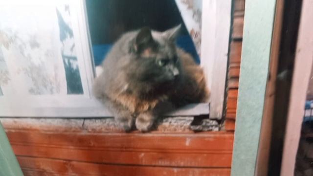 1 июля 2025. Июльские обстоятельства. смотреть онлайн