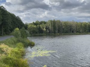 Продаю участок у воды 23 сотки