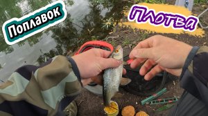 РЫБАЛКА на ПОПЛАВОК! ПЛОТВА