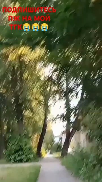 подпишись пж смотреть онлайн