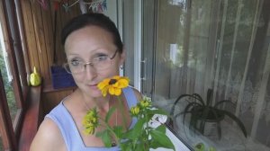 Хроника в городе в начале июля 2025 года.