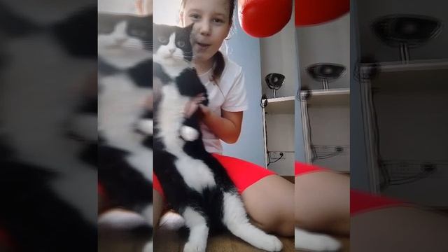 💃танец кота Сеньки (2часть)😺 смотреть онлайн