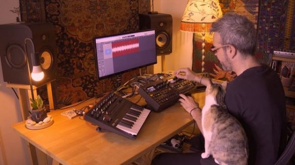 Stefan Torto - 1UP [live jam]