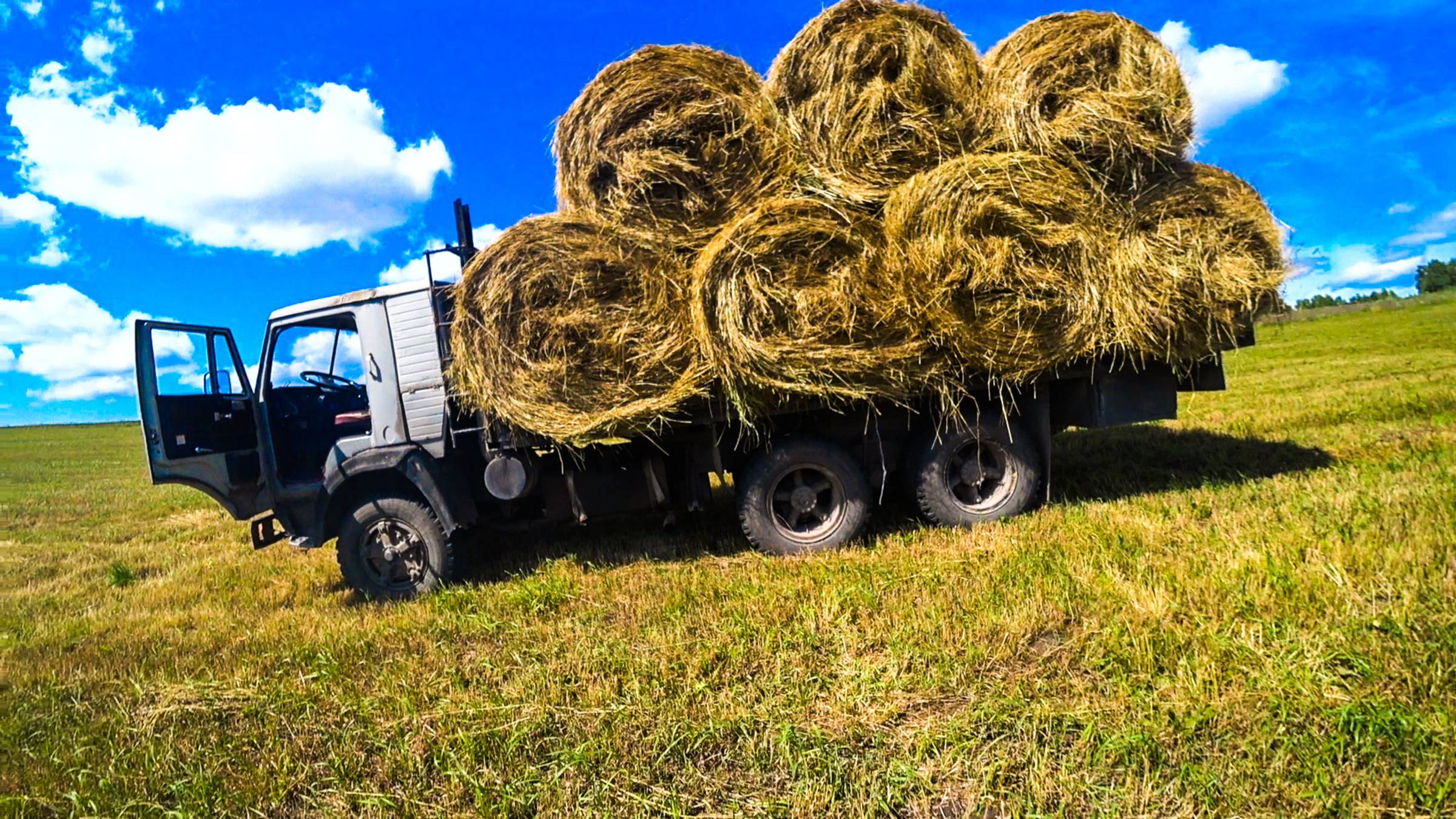 И снова на сенокосе. Уборка и вывозка сена. Сломалась телега, бросил в поле. смотреть онлайн