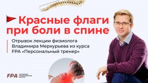 Красные флаги при болях в спине | Владимир Меркурьев (FPA)