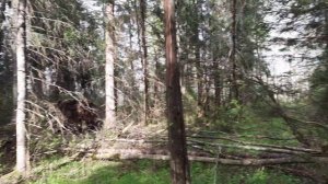 Поиск  металла на новом месте.