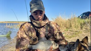 Рыбалка с батей. Из пушки по карасям. Веста против быка. Волгоград. Донская царица