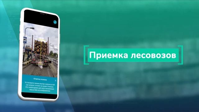 Smart Timber - современный подход к измерению древесины