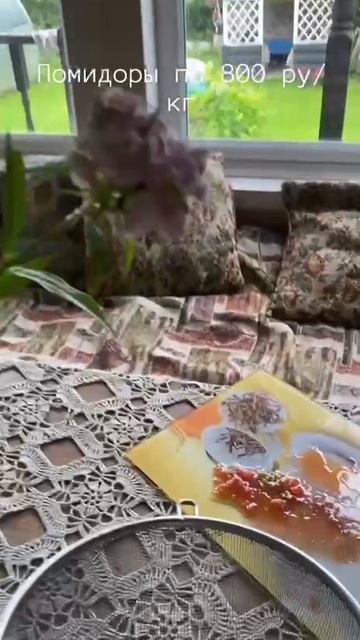 Помидоры по 800 руб за кг, видели такое?