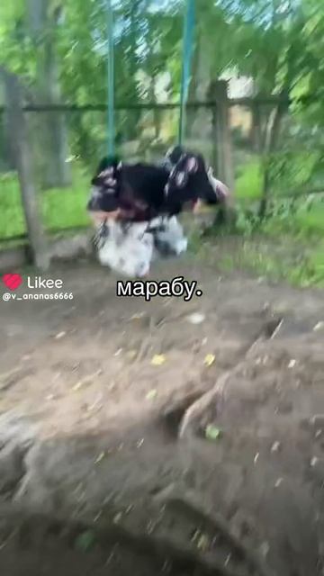 Снять такое же? смотреть онлайн