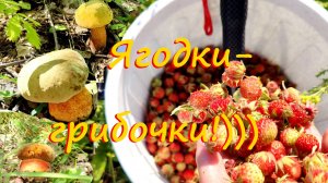 24 июня 2025. Дикая клубничка еще зеленоватая. В пустом лесу, все-таки удалось найти грибы !!!