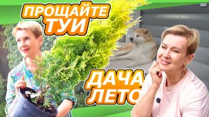 ВЛОГ | ДАЧА КОНЕЦ ИЮНЯ | ПОГИБЛИ ТУИ, ОБЗОР САДА, СУЕТА ПЕРЕД ДОЖДЕМ