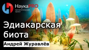 Как развивалась жизнь на Земле: эдиакарская биота – Андрей Журавлёв | Лекции по палеонтологии
