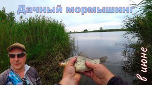 ДАЧНЫЙ МОРМЫШИНГ в Июне  #artdon_fishing,  #fishing , #ribalka