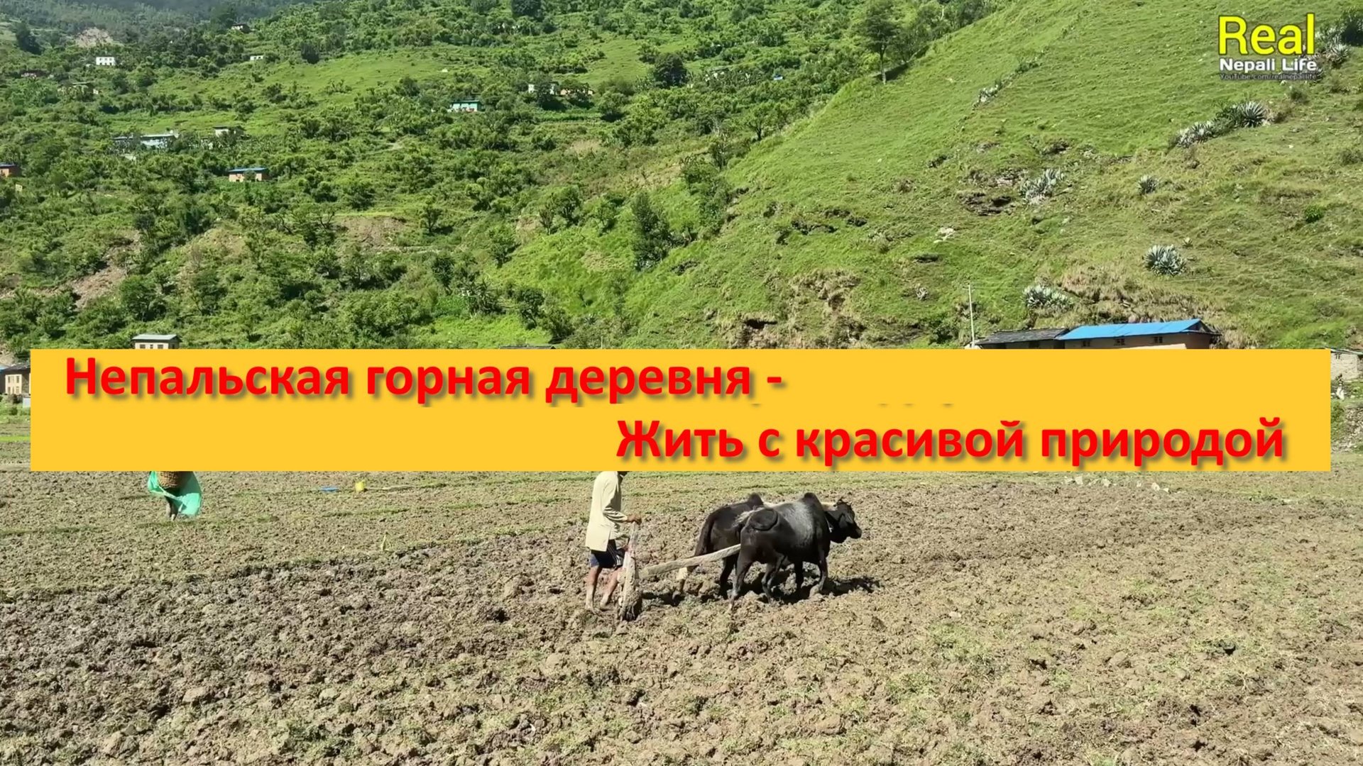 Непальская горная деревня - Жить с красивой природой смотреть онлайн
