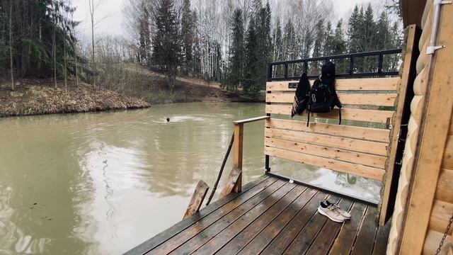 День 98. stop dog, where are you going