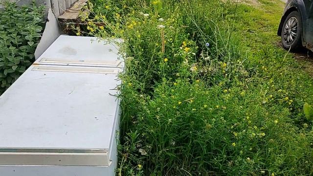 как молодые соседи травят пожилых людей