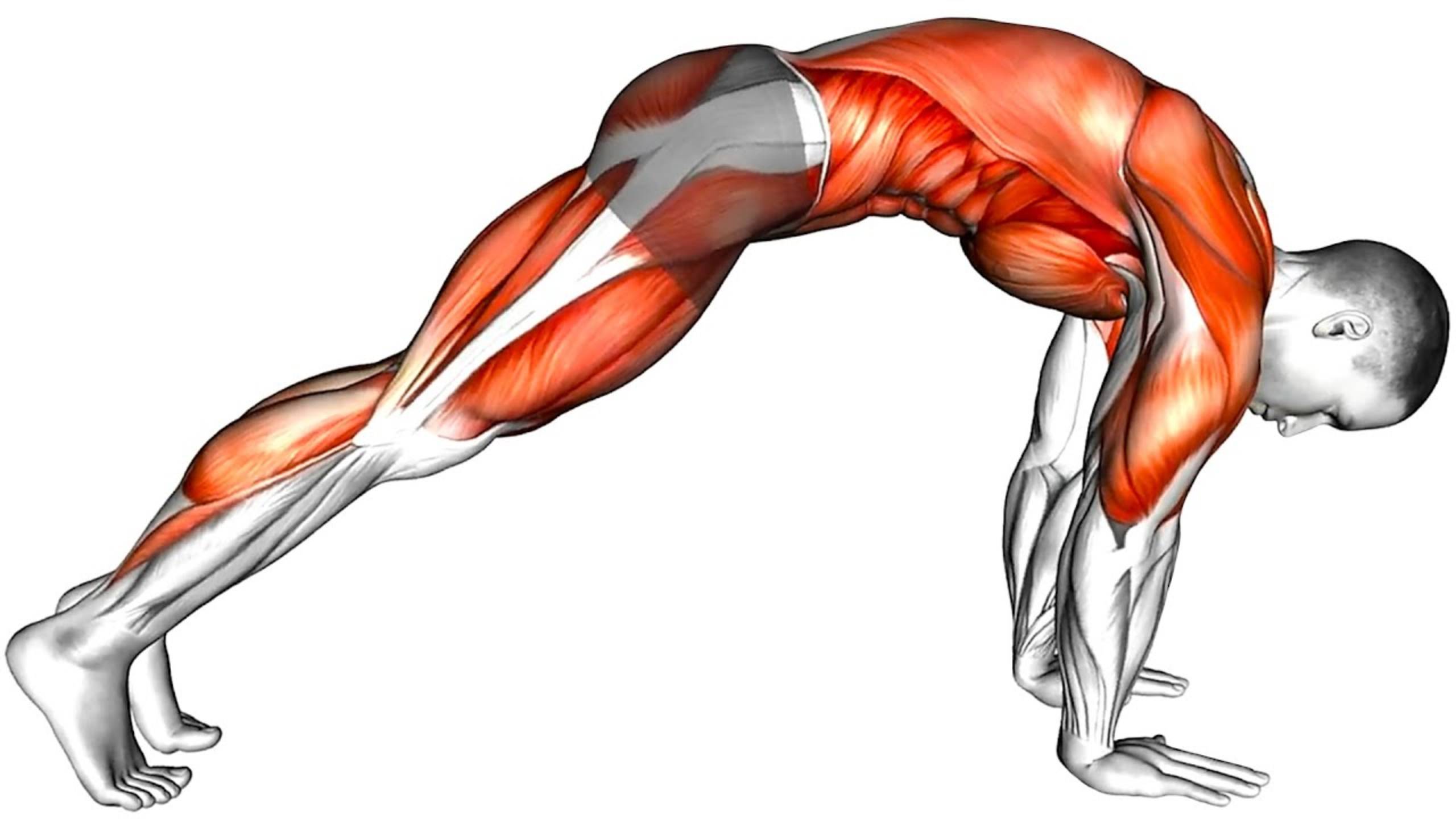 Выполняйте эти упражнения в течение 10 дней и смотрите в зеркало смотреть онлайн