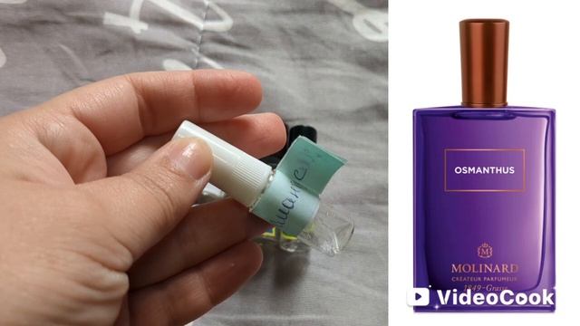 шестой отчёт ПРОДЖЕКТ ПЭН июнь 25 смотреть онлайн