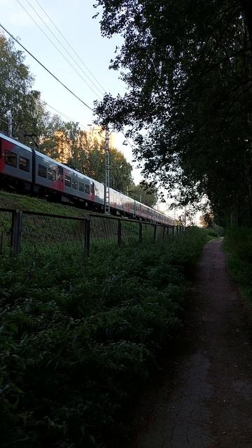 Электропоезд Ласточка в Удельном парке смотреть онлайн