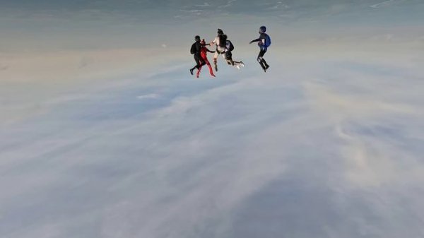 slow motion free fly hd