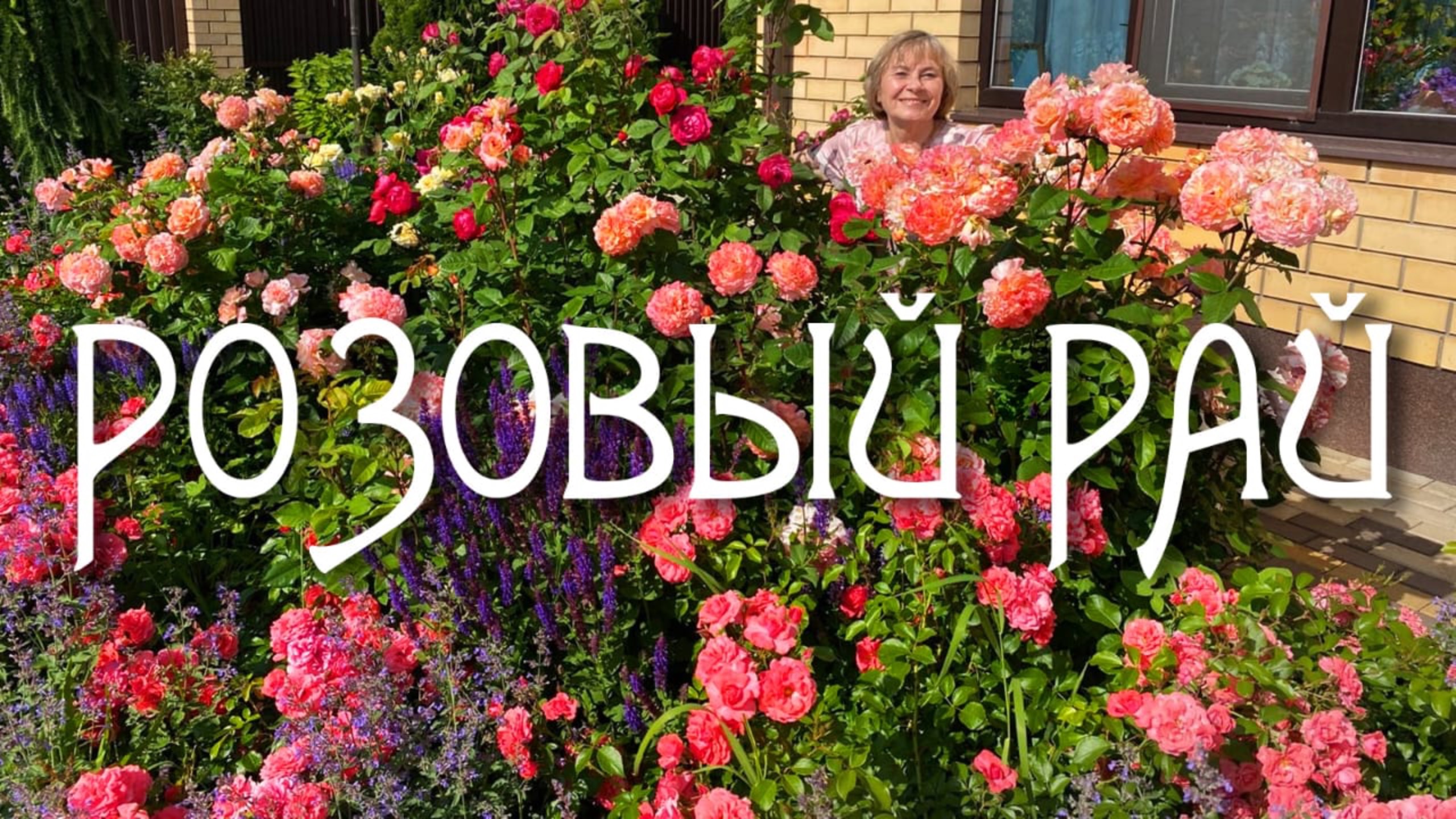 РОЗОВЫЙ РАЙ / В ГОСТЯХ У ДРУЗЕЙ смотреть онлайн