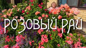 РОЗОВЫЙ РАЙ / В ГОСТЯХ У ДРУЗЕЙ