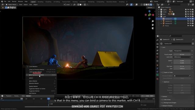 10.05 - Sequencing Cameras