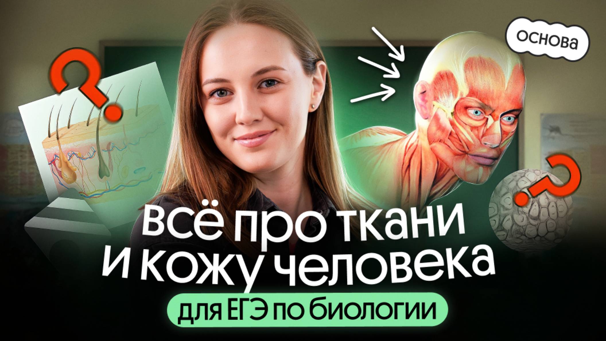 ВСЁ ПРО ТКАНИ И КОЖУ ЧЕЛОВЕКА | Открытый урок ОСНОВЫ смотреть онлайн