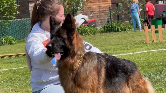 2 Оч/хор ЮСС ФИНЛЯНДИЯ фон Кристин Хоф №91 / КЧК БРОННИЦЫ 24 мая`25 F.Bogoeski, О.Васильев Моно неме