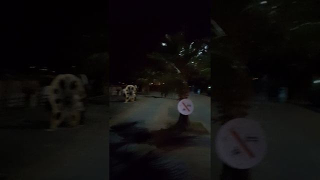 Набережная