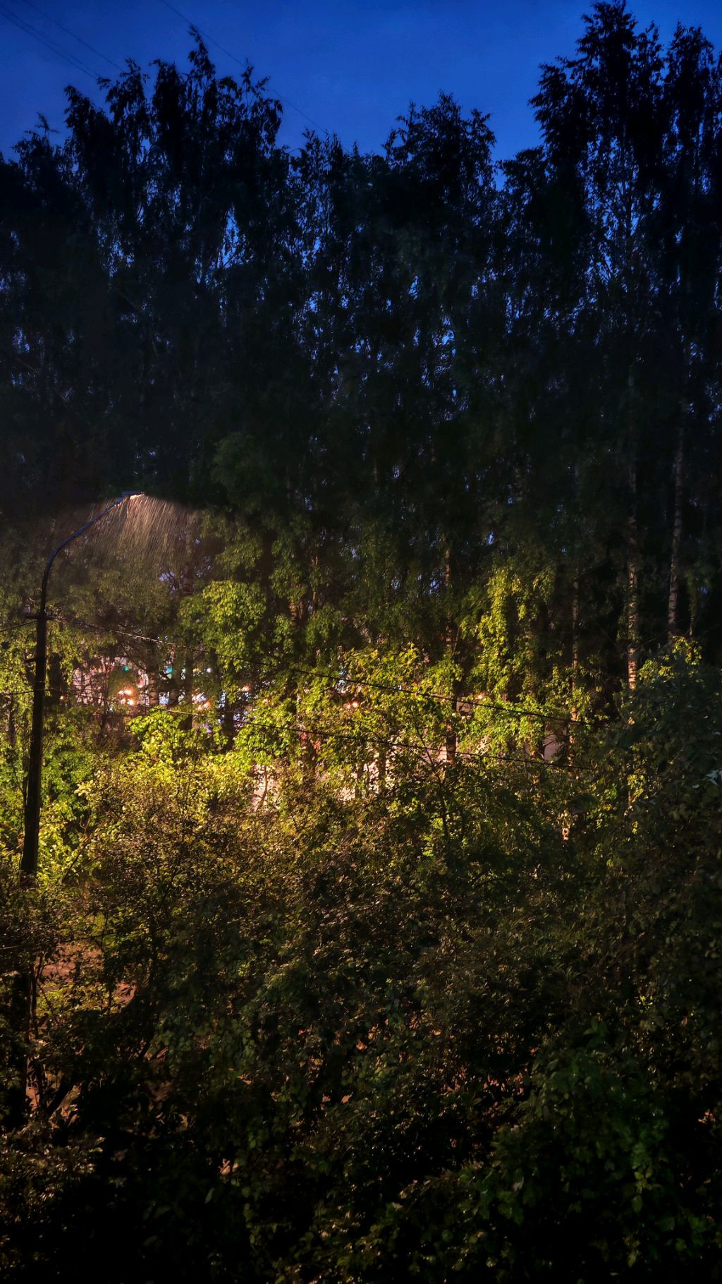 Слушаем шум дождя #летнийдождь #звукидождя #дождь #лайф #ливень #природа #летнийвечер #стрим #асмр