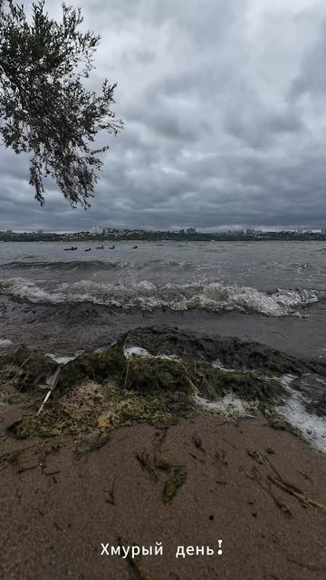 Хмурый день смотреть онлайн