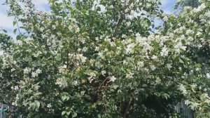 ВСЕХ С 1 ИЮЛЯ / Не мерзнем и не унываем)