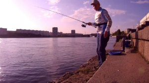 ПИТЕР ❤️РЫБАЛКА У ВОЛОДАРСКОГО МОСТА 🎣🎣🎣