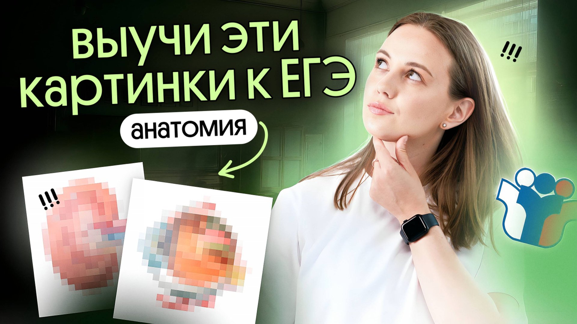 ✅ САМЫЕ ВАЖНЫЕ картинки АНАТОМИИ для ЕГЭ по биологии 2026 смотреть онлайн