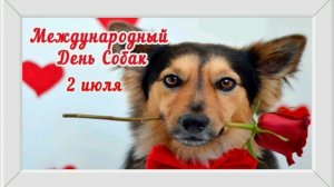 2 ИЮЛЯ- ДЕНЬ АНГЕЛОВ НА ЧЕТЫРЁХ ЛАПАХ!