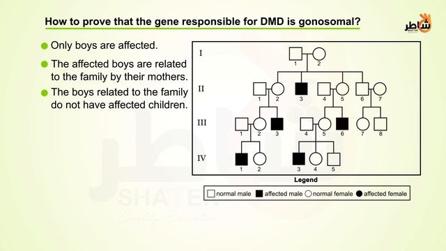 Gonosomal diseases смотреть онлайн