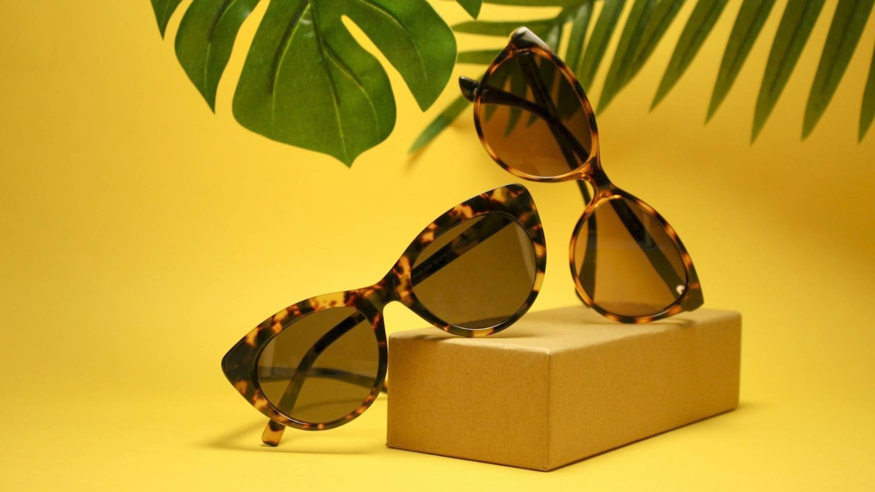 День солнцезащитных очков. Утро Губернии