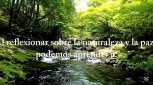 Descanso
Reflexionar