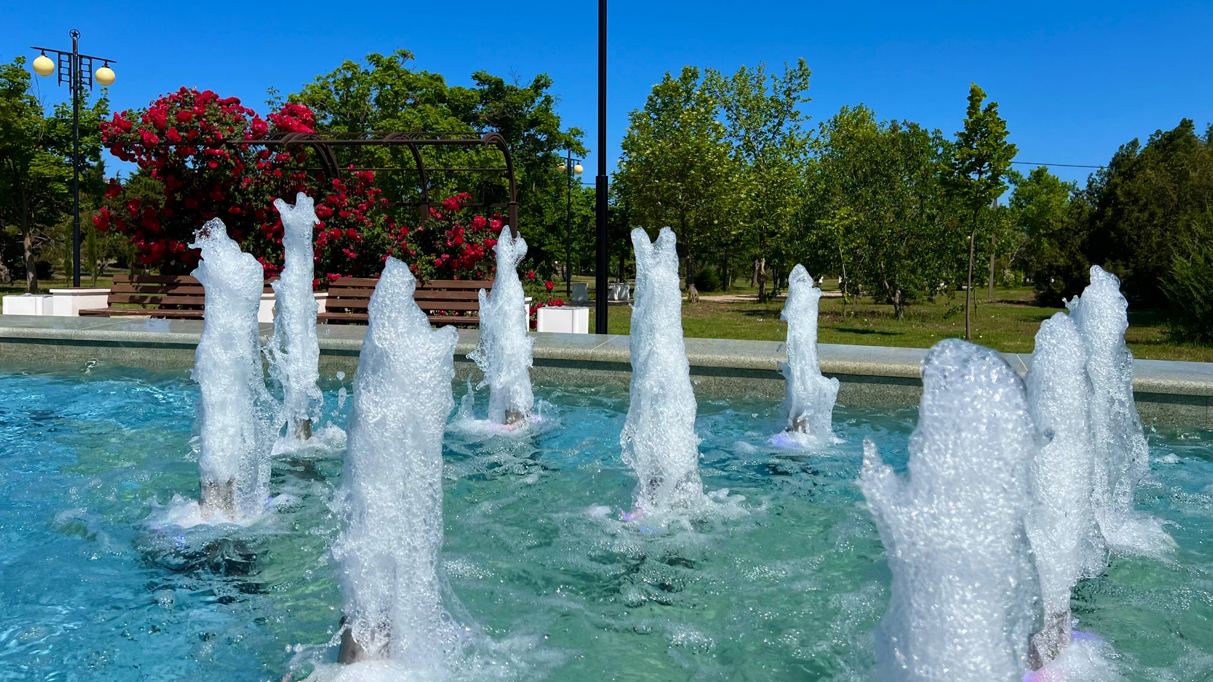 Июнь в Крыму: розы, фонтаны и магнолии. Ялта, Севастополь, Алушта. Июнь 2025.