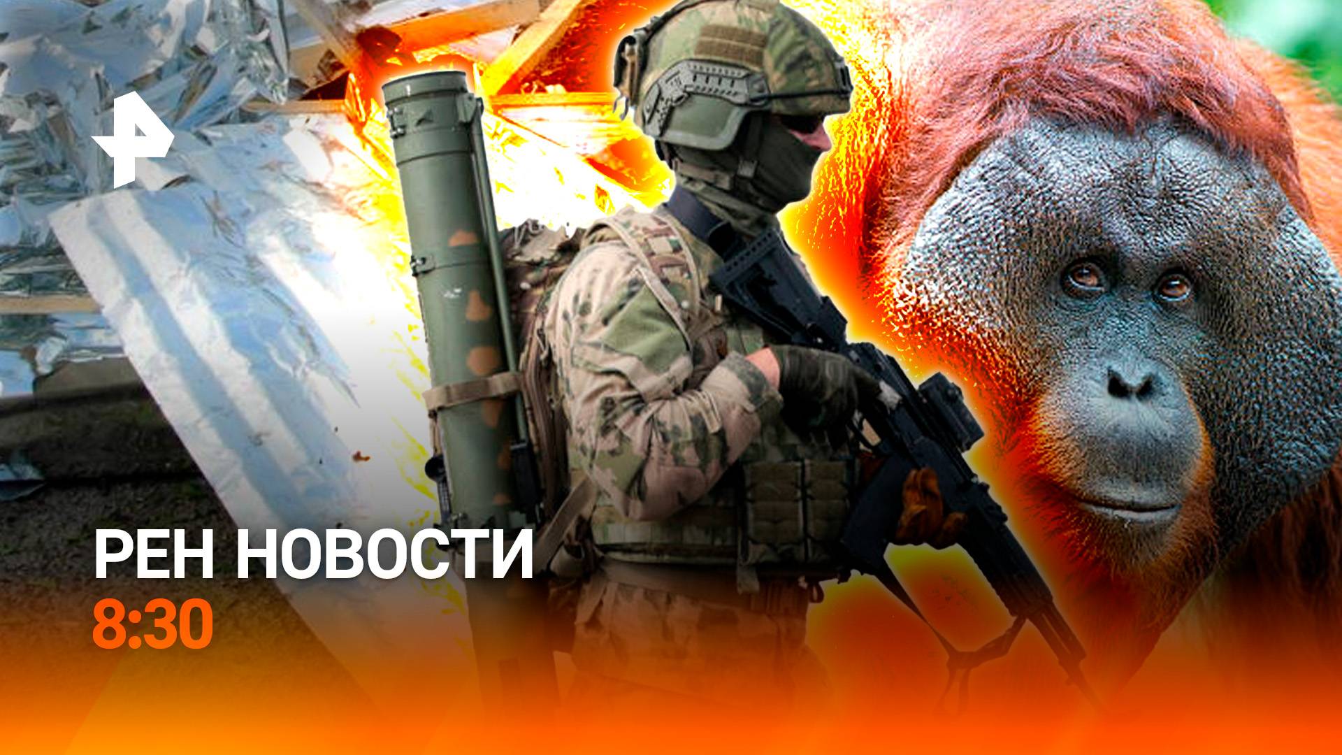 Обстрел Донецка / Вейперша накурила орангутана / Герои против Эльбруса / РЕН Новости 8:30 01.07