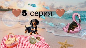 🤎5 серия 1 сезон сериал "Будни Таксика" 🤎