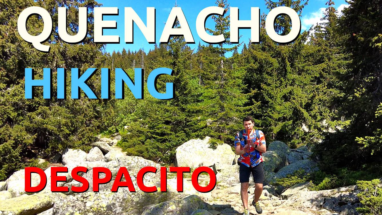 Despacito - Quenacho | Quena