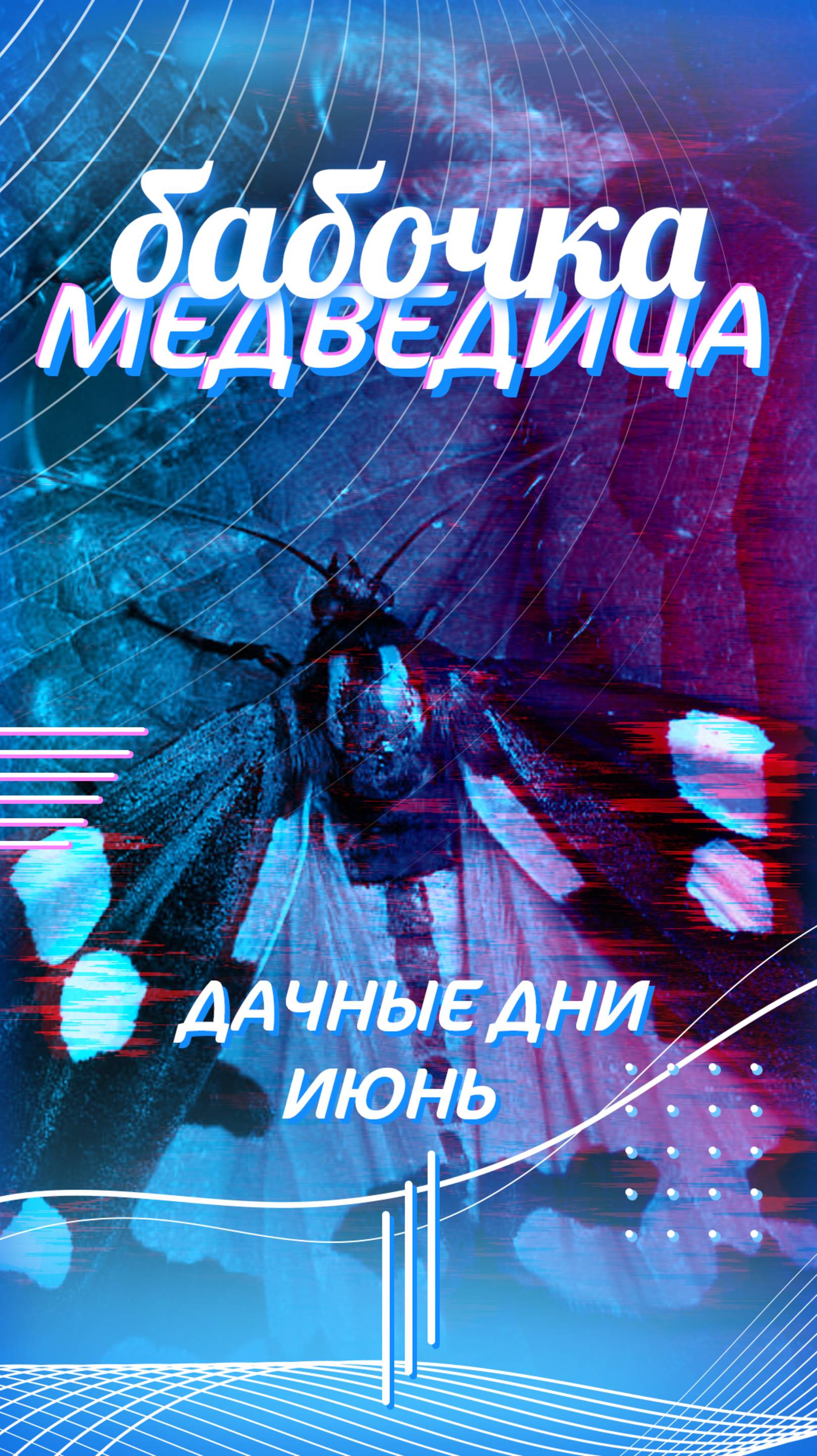 Бабочка крылышками бяк-бяк-бяк🦋🦋🦋 смотреть онлайн