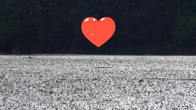 Частота 528 Гц - частота Любви смотреть онлайн