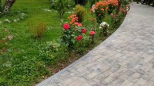 Абхазия /Гагры/Парк- отель "Кавказ"/Июнь 2025г