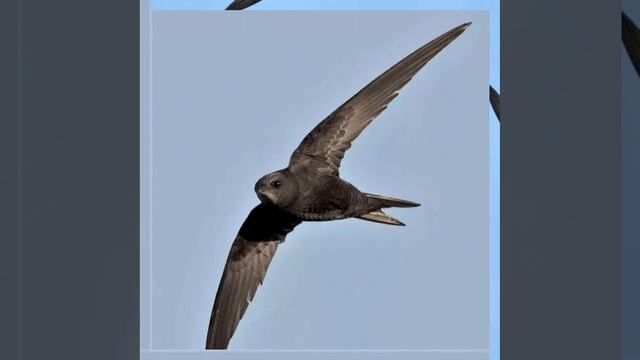 Это интересно-18